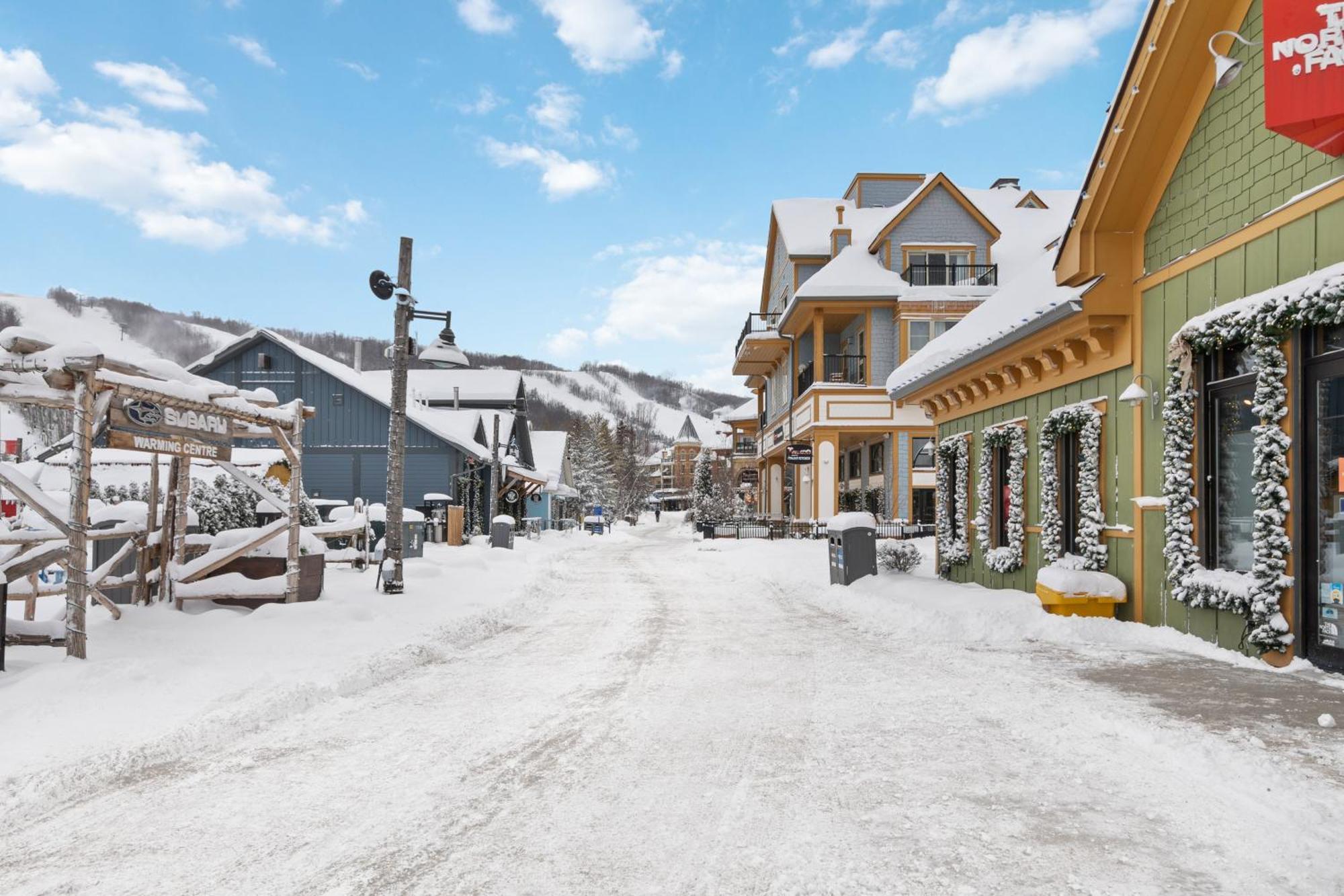 Lovely 3 Bedroom Wintergreen Retreat W Sauna Blue Mountains Eksteriør billede